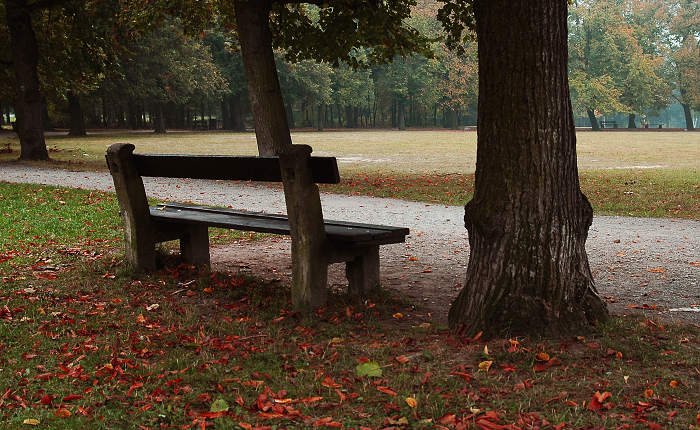 Borský park