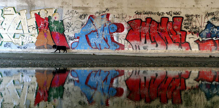 The Ghetto Wall