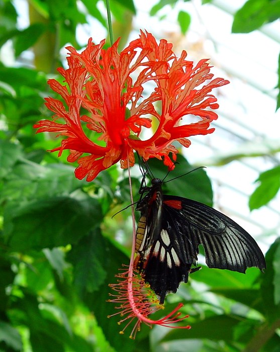 Ještě pohoupat ...