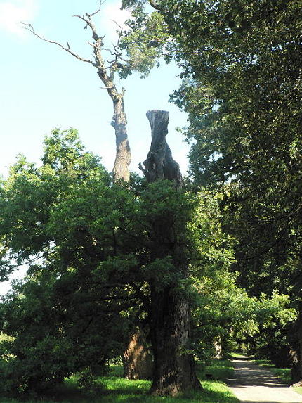 Jiný svět