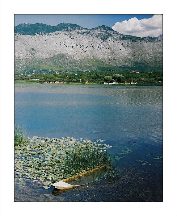Albánie, Skadarské jezero