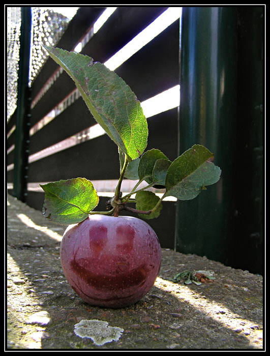 Happy apple