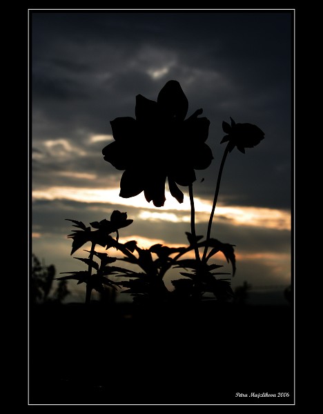Cerne slunce