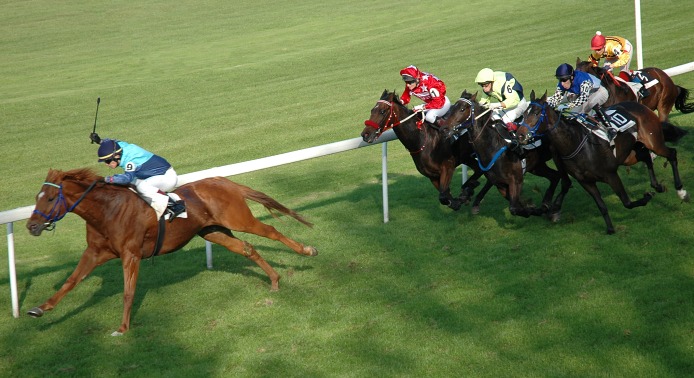 Dostihy II
