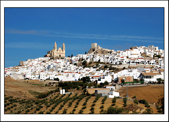 Olvera