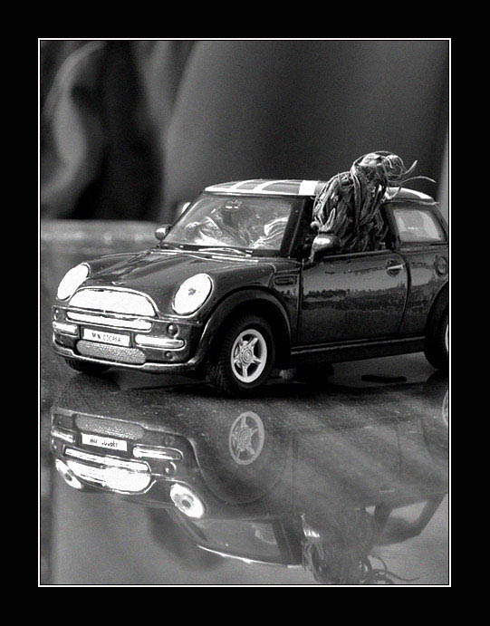 VÝLET S PANEM GREENEM