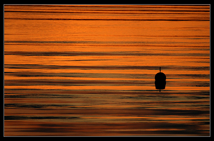 Aure_boja_2006_zapad