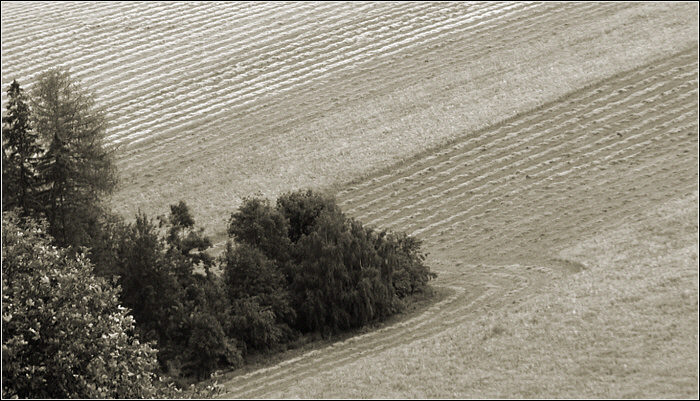 Učesaná krajina