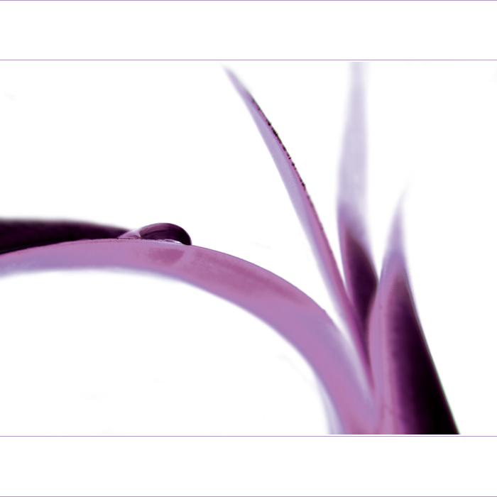***SIMPLICITY***