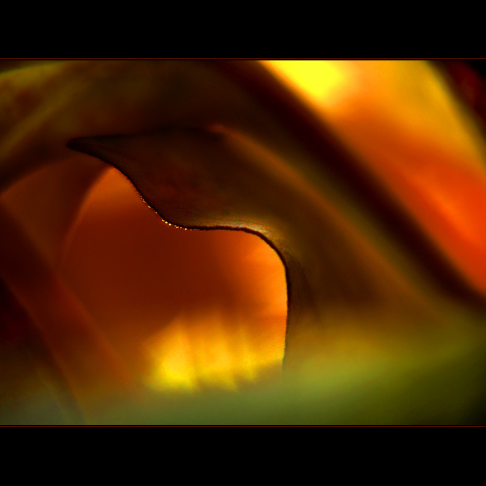 ***HARMONIE PODZIMU VII.***