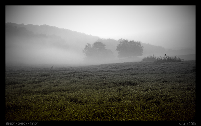 sleepy - creepy - fancy