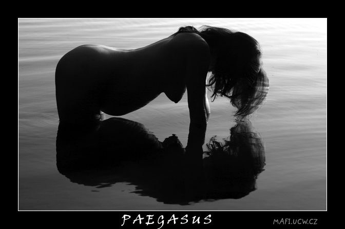 paegasus