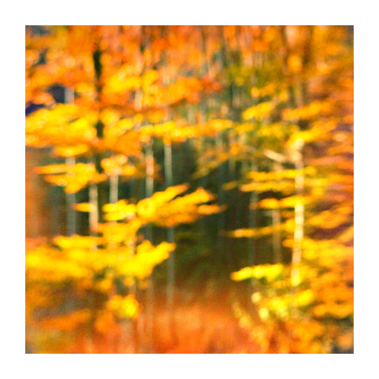 v podzimnim rytmu II