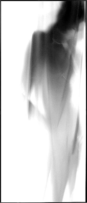 Černá a Bílá....