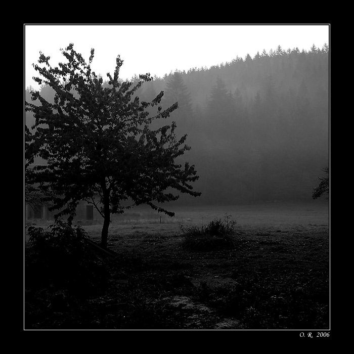 ...sychravé ráno...