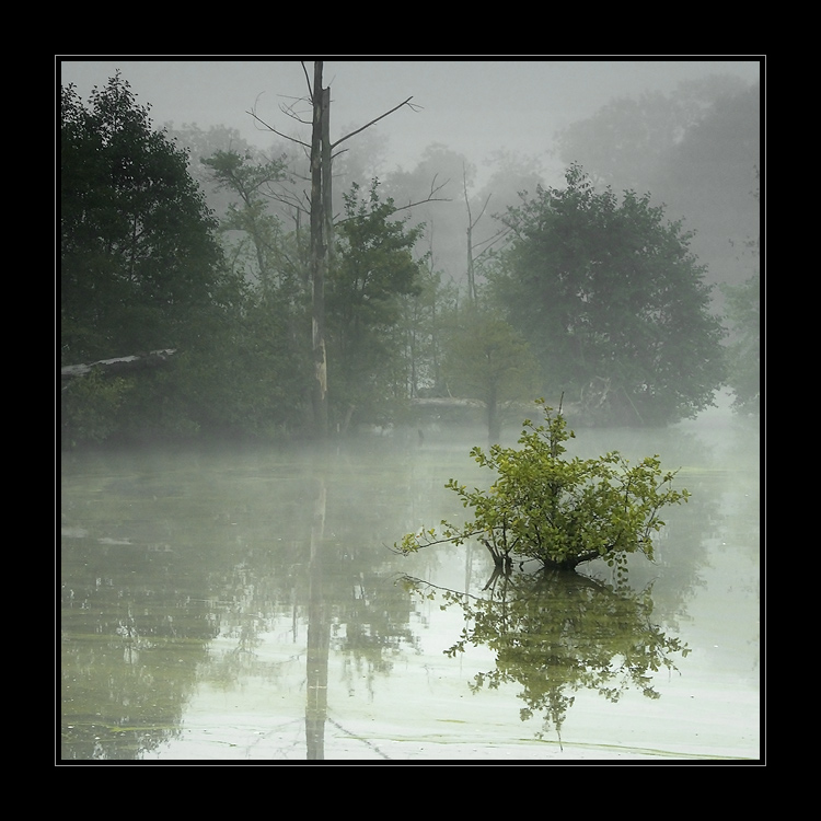 Ponurost pátečního rána II.