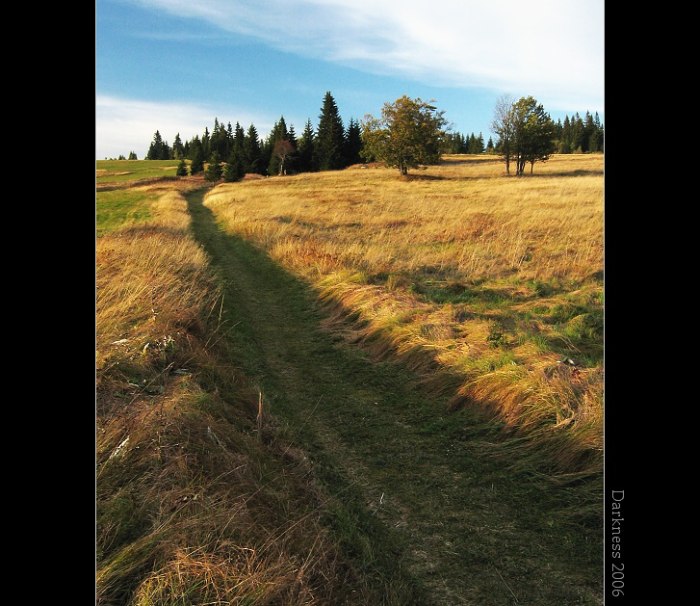 Šumava II
