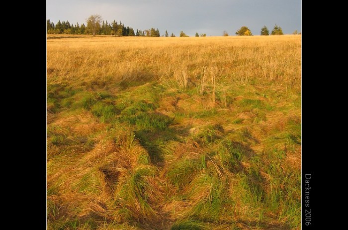 Šumava III
