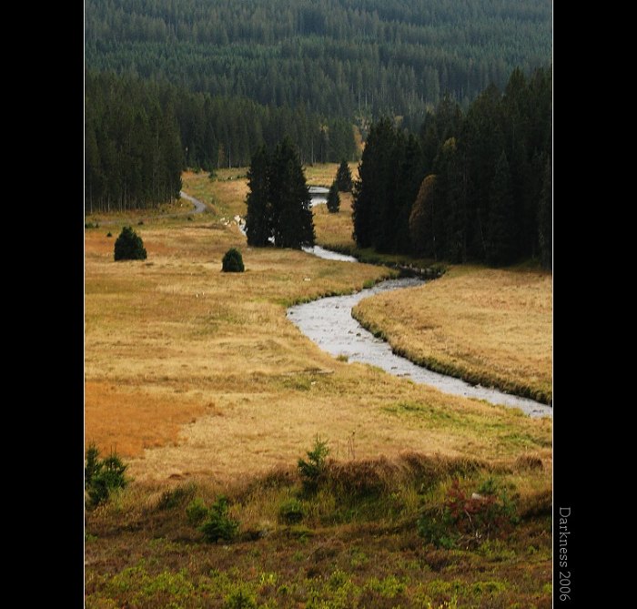 Šumava V