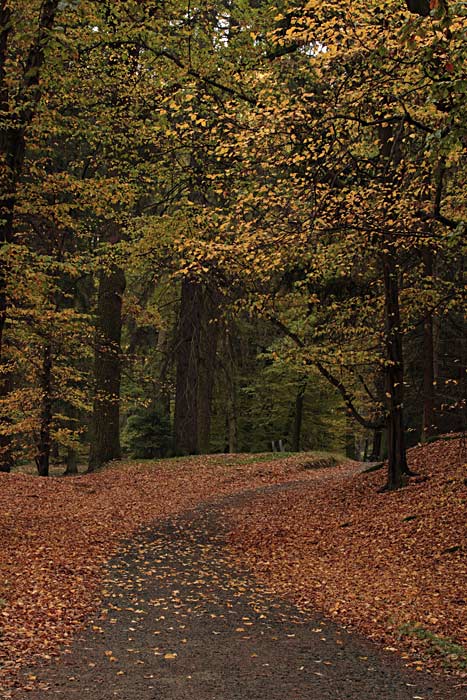 podzimni I