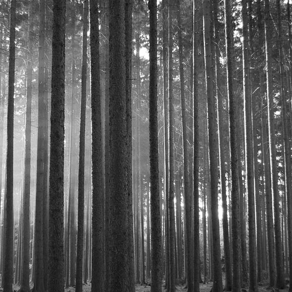 ..pohled kamsi...