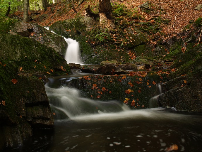 Podzim na Černé II