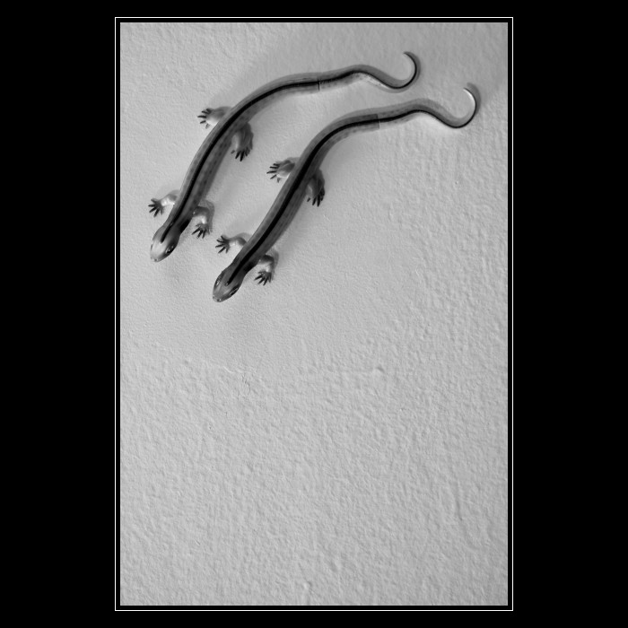 ..:: Racerunners ::..