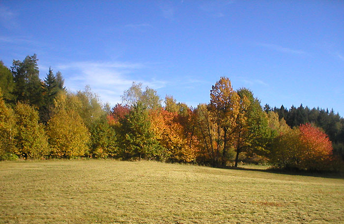 Podzimní barvy