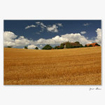 //Učesaná - strapatá//