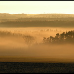 Ranní mlha II