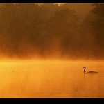 Vstříc novému dni...