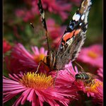 Nehltej, je dost pro oba!