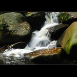 ...po kamení skáče...