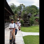 V pralesním chrámu