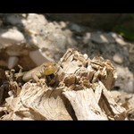 Rozhovor z očí do očí