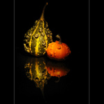 Zátiší s dýněmi