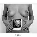 Tohle snad nazev nepotrebuje