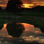 \"  večer na řece Odře \"