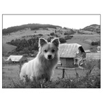 Východní Halič - krajina  II.