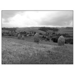 Východní Halič - krajina III.