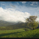 Podvečerní Tatry