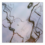 Ženy, ženy, ženy...