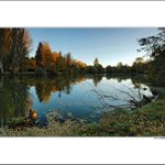 Jesenná reflexia II