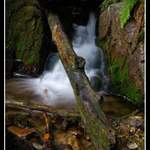 Podzimní osvěžení