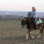 Řekla bych, že ten vlak už je za námi!