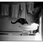 konce vodníků v čechách