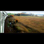 .:cestování pod psa:.