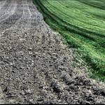 ...komu se nelení...tomu se zelení...