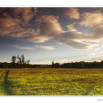 Podvečer na Pohansku