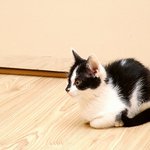 Co ty tam vyvádíš?